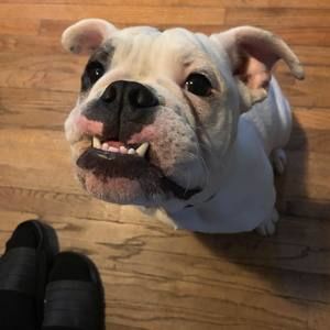 Meet your Posher, Jd